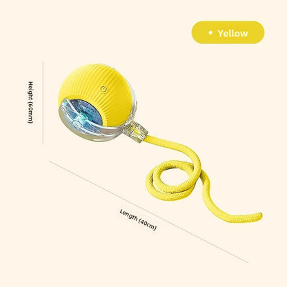 Automatic dog walking ball/dog toy ball