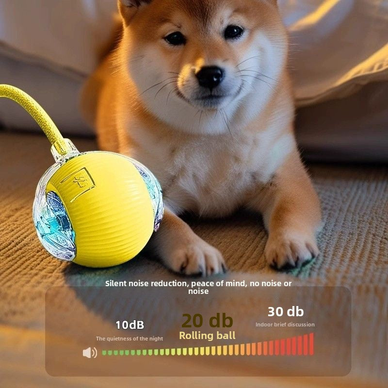 Automatic dog walking ball/dog toy ball