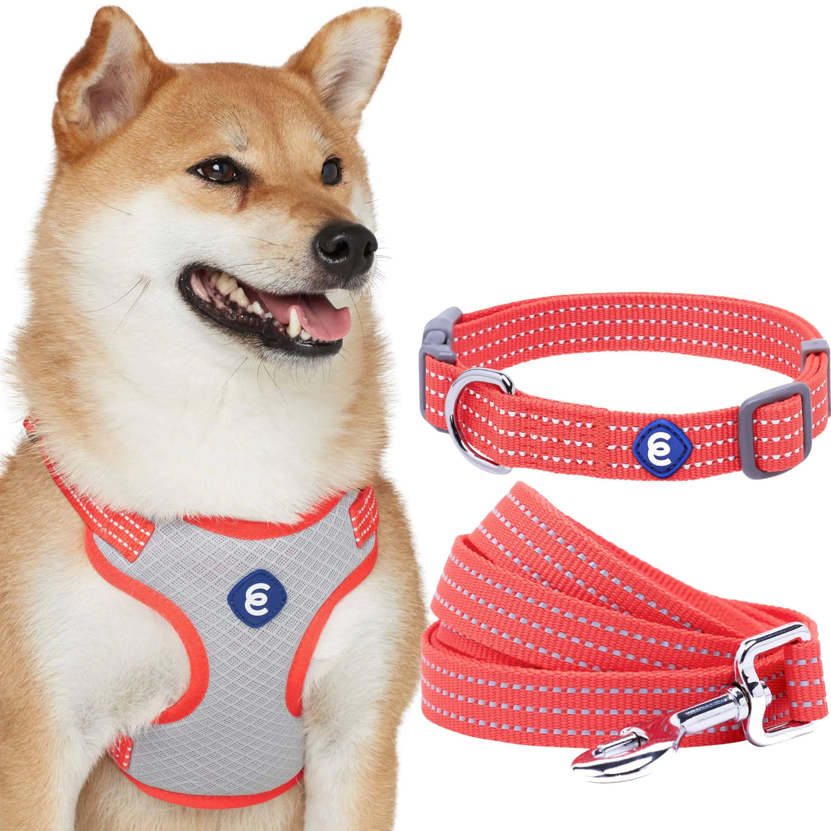 Blueberry Pet Essentials Reflective Better Basics Matching Dog Collar Leash Harness Set in Fiery Red Adjustable Collar with Harness & 4 ft Leash for Large Dogs