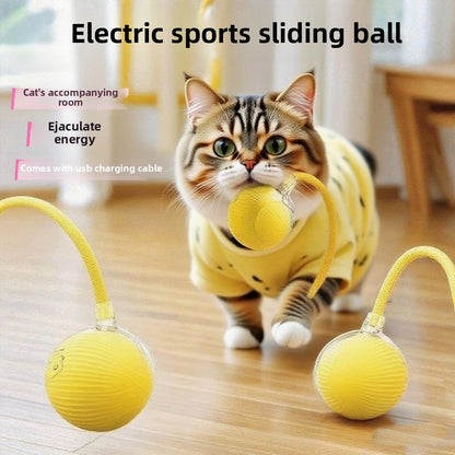 Automatic dog walking ball/dog toy ball