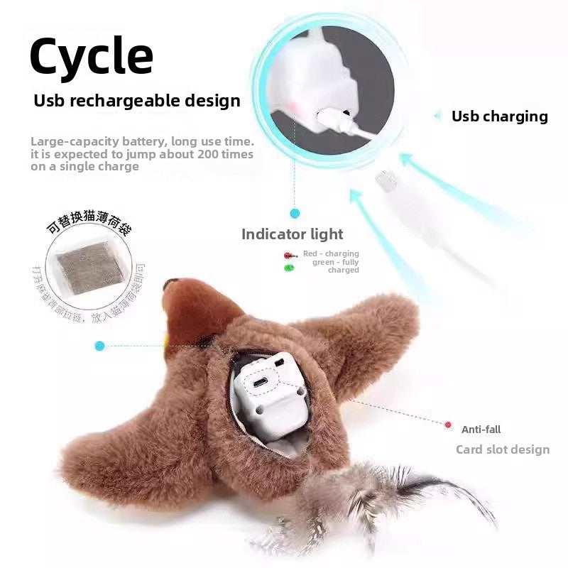 electric cat toy